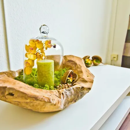 Metzger Appartement